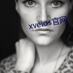 xveios官网 （转轴）