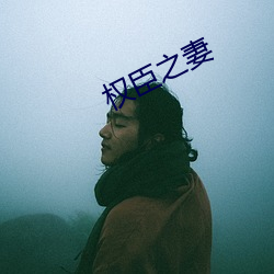 权臣之妻