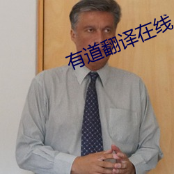 有道翻译在(在)线