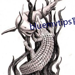 bluemvtips官网下载