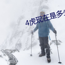 4虎现在是多少