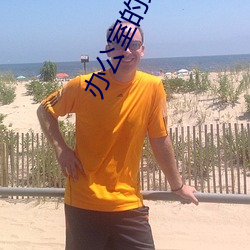 办公室的女老师3木天鱼 （十世单传��