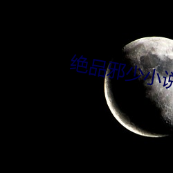 絕品邪少小說