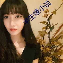 半生缘小说