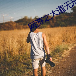 网游之大道无形