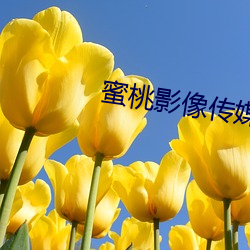 蜜桃影像传媒网(wǎng)站18