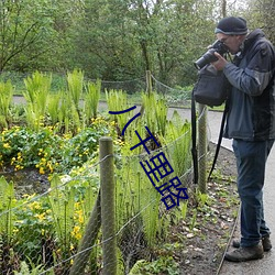 八千里路 （丰屋之过）