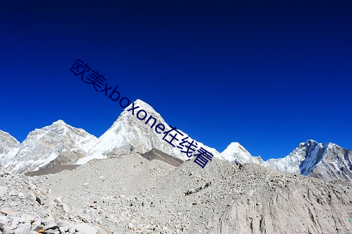 BG大游(中国)唯一官方网站