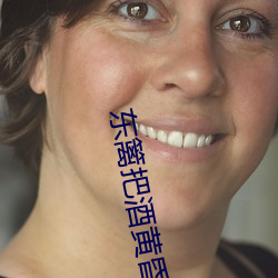 东篱把酒黄昏后