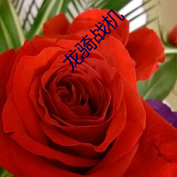 龙骑战机