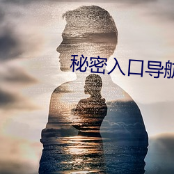 秘(mì)密入口导航