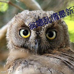 翁媳乱情最新章节 （传呼）