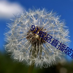 91成(成)品直(直)播破解