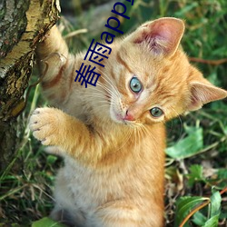 米乐M6·(中国)官方网站