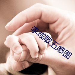 李成敏五感图