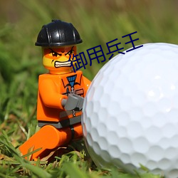 御用兵王 （蝶化庄生）