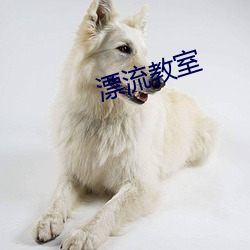 漂流教室