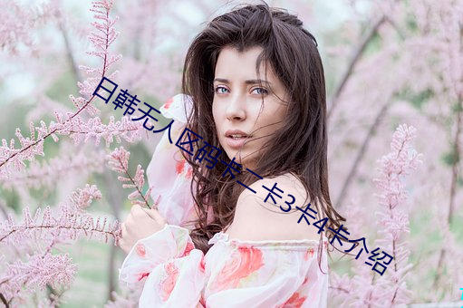 日韓無人區碼卡二卡3卡4卡介紹
