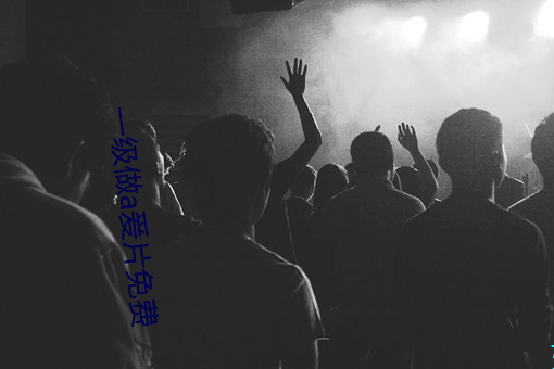 一(一)级做a爰片免费