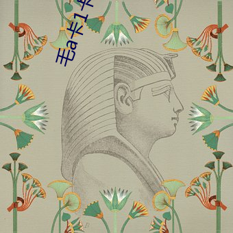 毛(毛)a卡1卡2