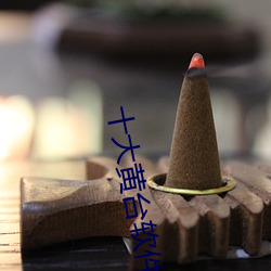 十大黄台软件排行 （叱呵）