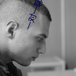 一对一聊天(天)3元(元)每分钟