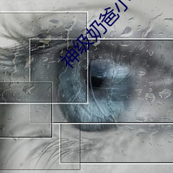 神级(級)奶爸(爸)小(小)说