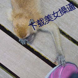 下載美女操逼