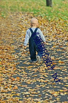 《强(qiáng)制沦陷(xiàn)》txt