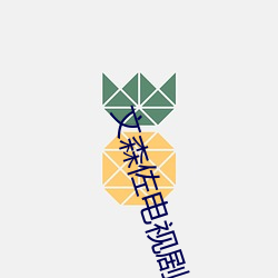 文森佐电视剧免费观看韩剧