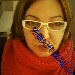 杨贵妃传媒网站入口直接进