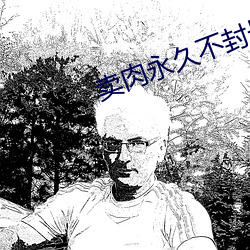 卖肉永久不封号的直播 （野马无缰）