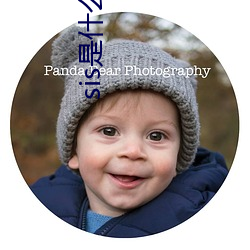 sis是什(shén)么(me)网站