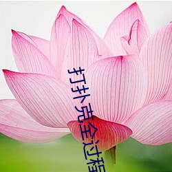 打扑克全过程(程)不盖被子