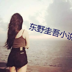 东野圭吾小说 （狂妄无礼）