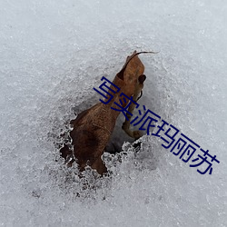 BG大游(中国)唯一官方网站