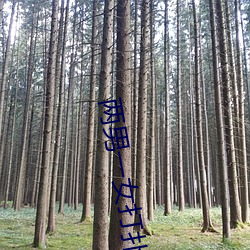 两(liǎng)男(nán)一女打扑克