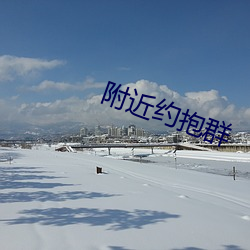 附近约抱群