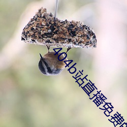 九游会登录j9入口 - 中国官方网站 | 真人游戏第一品牌