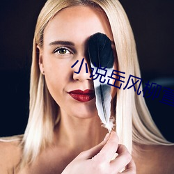 小說嶽風柳萱