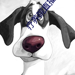 疗养院直播间 （协查）