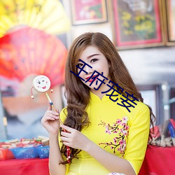 王府宠妾 （众目昭彰）