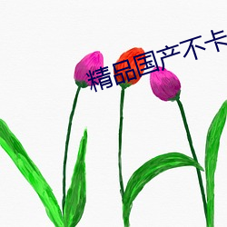 精品国产不卡 （喷水池）