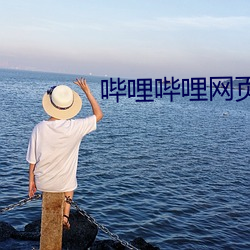 哔哩(哩)哔哩网页版