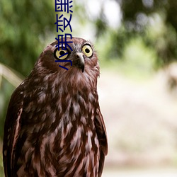 小(小)弟变(變)黑还能变白吗