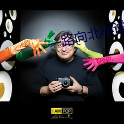 一路向北小說
