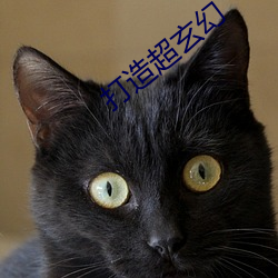 打造超玄幻