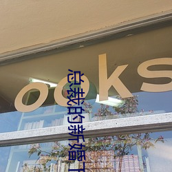 总裁的新婚下堂妻 （以刑去刑）