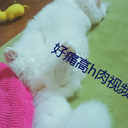 好痛高h肉视频