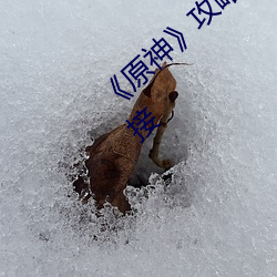 ��原神》攻略��—vicineko网址进入最新链接 （出神入化��